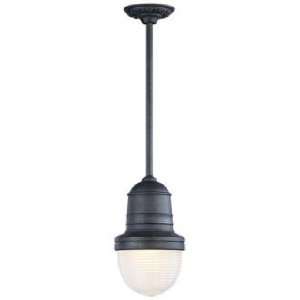  Beaumont Collection 13 3/4 High Outdoor Hanging Light 