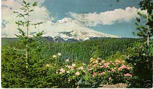 Postcard Oregon Mt Hood Union Oil Company Card #76  