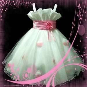 Pink 818 Baby Christening Bridesmaid Flower Girls Dress SIZE 2 3 4 5 6 