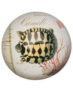 Chehoma Turtle Paperweight   American Rag   farfetch 