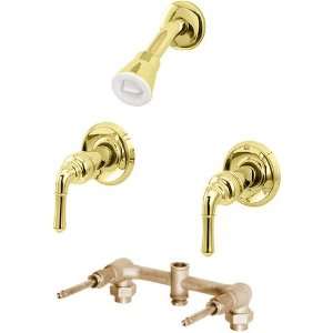   Polished Brass 2 Handle Bathroom Shower Head Fixture