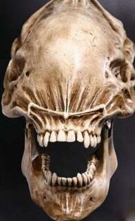 Alien Skull Polystone Alien vs. Predator 70cm Skulptur Jedes ein 