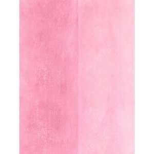 Pink Modern Stripe Wallpaper 