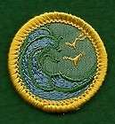 cadette girl scout badge  