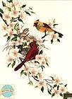 Crewel Embroidery Kit ~ Dimensions Bird Cardinals in Dogwood Flowers 