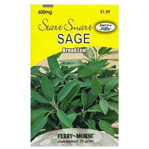 Ferry Morse Sage Broad Leaf Seed 8097  