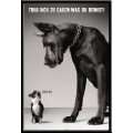  Empire 392107 Hunde   Trau dich was zu sagen   Tier Poster 