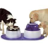  Dogit Futter  und Wasserstation für Hunde Weitere Artikel 