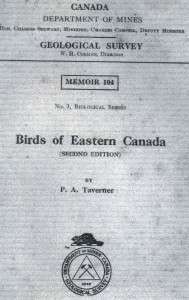 Birds of Eastern Canada   RUBY THROATED HUMMINGBIRD  