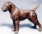 bronze border terrier  