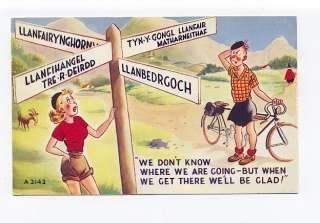 gr798   Greetings from Wales   Welsh humour   art   postcard  