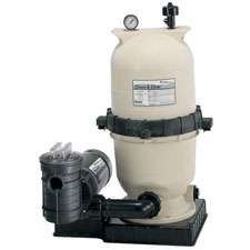 Pentair Above Ground Cartridge Filter System 1 HP 100  