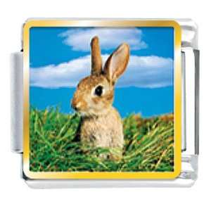  Animal Photo Bunny In Field Italian Charms Bracelet Link 