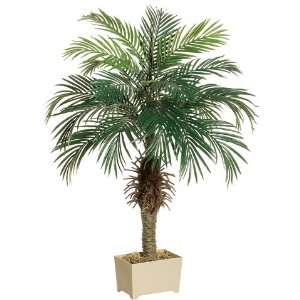  4 Phoenix Silk Palm Tree w/Container (case of 2)