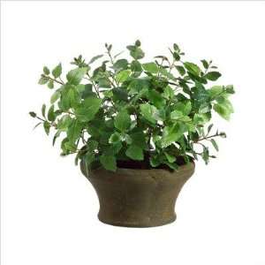  15 Basil with Paper Mache Pot in Green