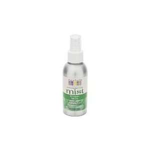  Aromatherapy Mist   Ginger / Mint 4 oz Health & Personal 
