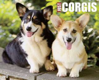 Just Corgis 2012 Wall Calendar 9781607553168  