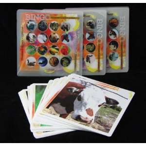  Animal Bingo & Flashcards Set