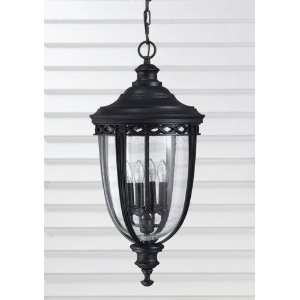   English Bridle Outdoor Hanging Lantern In Black Patio, Lawn & Garden