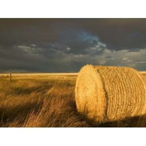  Landscape and Hay Roll in Alberta, Canada Photographic 