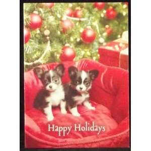 Twin Puppy Holiday Christmas Cards, 18 Cards with Coordinating 