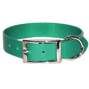  Sunglo Collars   Regular   3/4   Green   18 Pet 