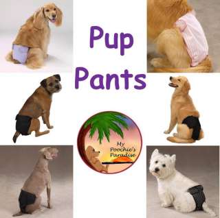 Our Pup Pants are ideal for dogs with bladder control problems, and 
