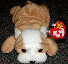 Beanie Babies Bruiser Wrinkles Sharpei Bulldog WT  