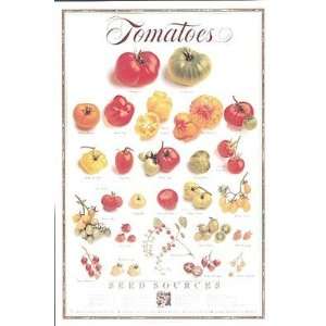  Tomatoes (vertical) by Alice Waters   36 x 24 inches 
