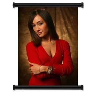  Maggie Q Nikita Fabric Wall Scroll Poster (16x23) Inches 