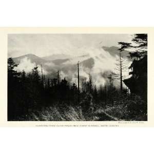  1922 Print Mount Mitchell State Park North Carolina 