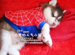 PET/DOG/CAT cloth spider man costume any size cool  