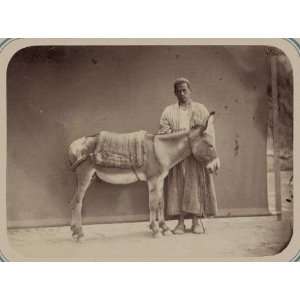  Central Asia,donkey,pack saddle,transportation,c1865