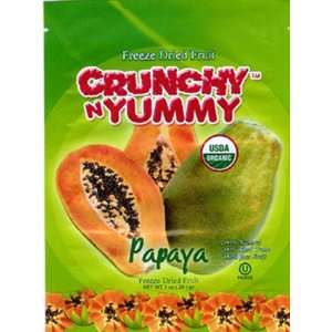 Freeze Dried Fruit Papaya 12 pack  1ounces each  Grocery 