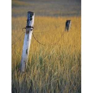 Fence Posts in Salt Grass, Hope, Alaska, United States of America 
