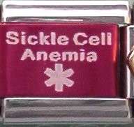   Medical Alert for Italian Charm Bracelet Free Medical ID Card  