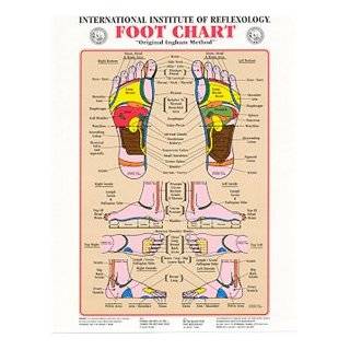 Foot Chart ~ Original Ingham Method of Reflexology [Laminated Wall 