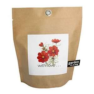  Potting Shed Creations Garden In A Bag   With Love Cosmos 