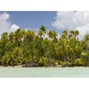 Blue Lagoon, Rangiroa, Tuamotu Archipelago, French Polynesia, Pacific 