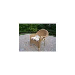   Living Honey Resin Wicker Arm Chair with Cushion Patio, Lawn & Garden