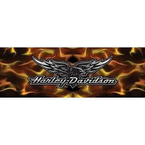   Harley Davidson Flame Chrome Eagle Motorcycle Window Graphic Decal