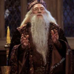  Professor Dumbledore Button Arts, Crafts & Sewing