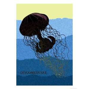  Jellyfish Discomedusae Premium Poster Print by Ernst 