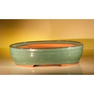   Boys Ceramic Bonsai Pot Green Oval 14 5x11 0x3 5 Patio, Lawn