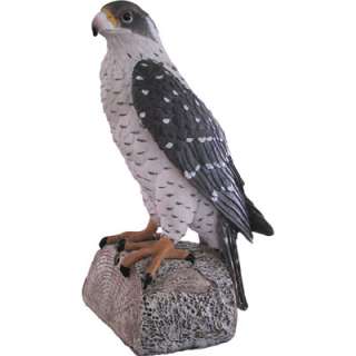 Peregrine Falcon Decoy w Motion Activated Sound Effects  