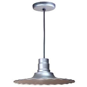  ANP Lighting R918 49 BLC 49 Galvanized Radial RLM Spun 