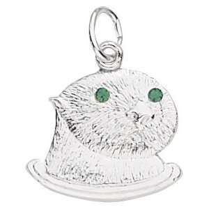  Rembrandt Charms Sea Otter Charm, Sterling Silver Jewelry