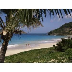 Beach at Anse Des Flamands, St. Barts (St. Barthelemy), West Indies 