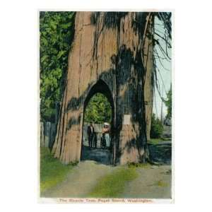   Bicycle Tree, Couple with Bikes Giclee Poster Print, 24x32 Home