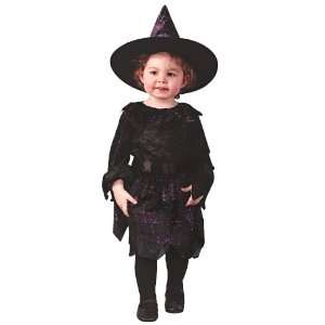 Witch Spiderweb Glitter Costume Child Toddler 3T 4T Halloween 2011